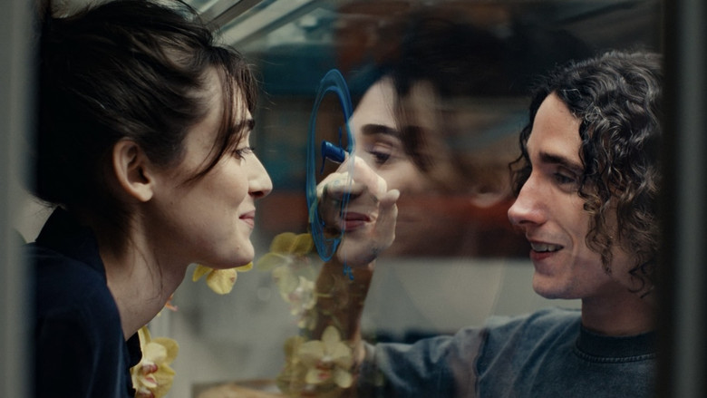 Image d'arrière-plan 6 du film Breve storia d'amore