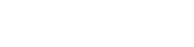 Imagen de Academia de vampiros