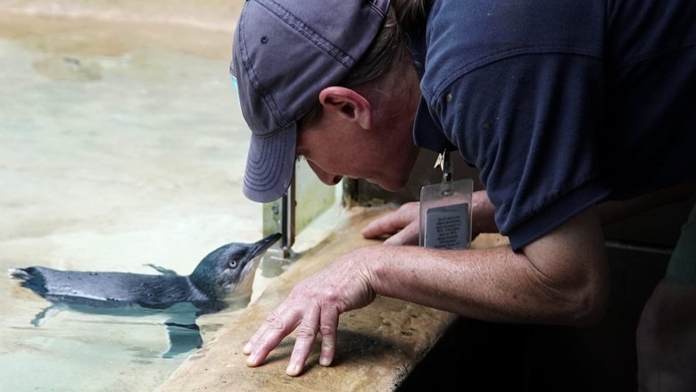 Still image for The Zoo season 1 episode 5: A Star Is Born Still image for The Zoo season 1 episode 5: A Star Is Born