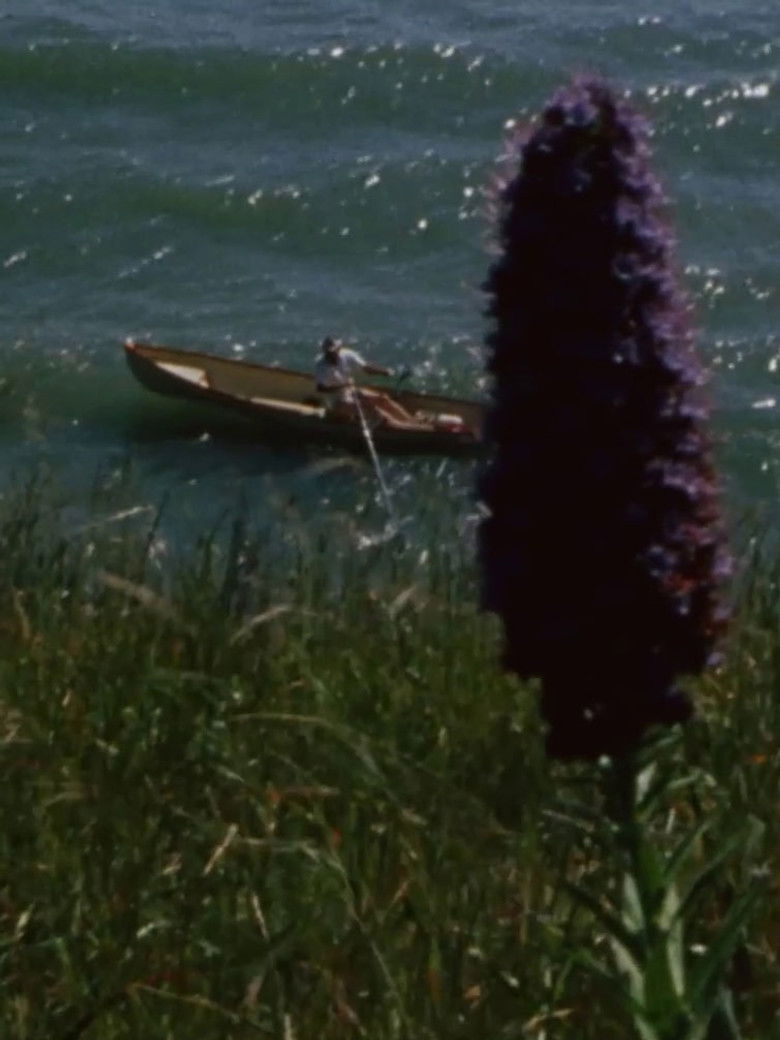 Imatge de New Shores