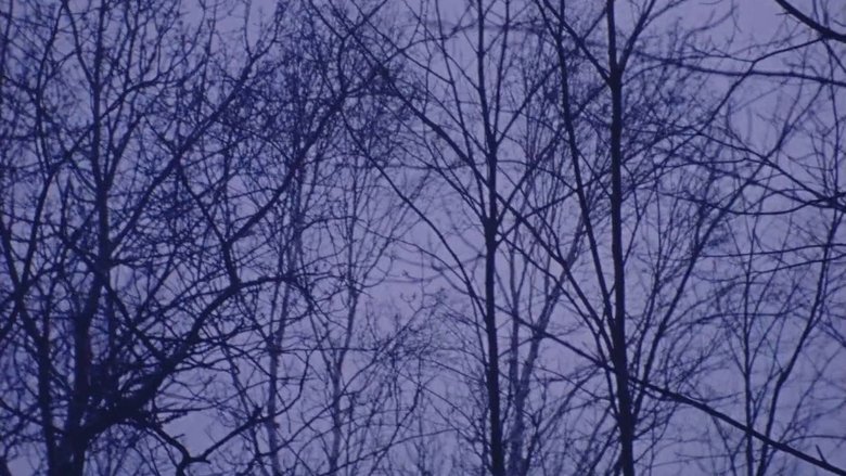 Gallery image from qP1DDOaz8tazsg2DKuaRya12SUb.jpg