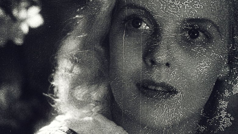 Gallery image from qPg4Ny2fExm897Qb569o6xMcAcc.jpg