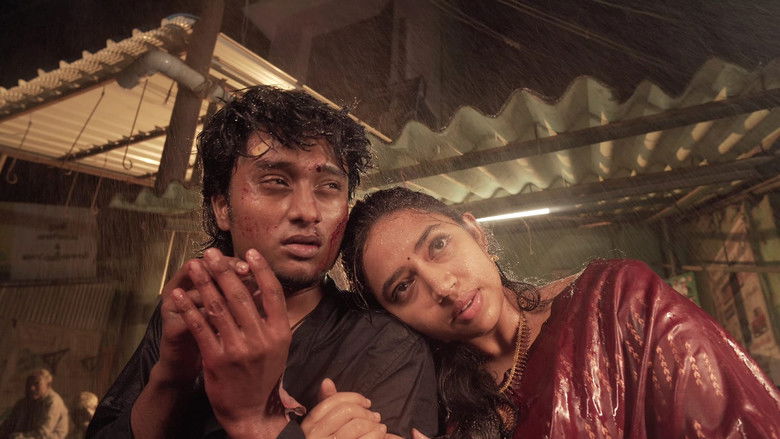 Imatge de The Silk & Cigarettes