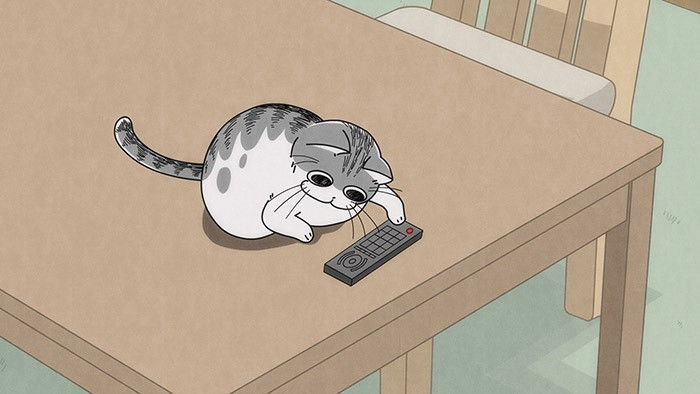 Still image for Nights with a Cat season 1 episode 3: Night 3: A Cat That Tends to Drop Things