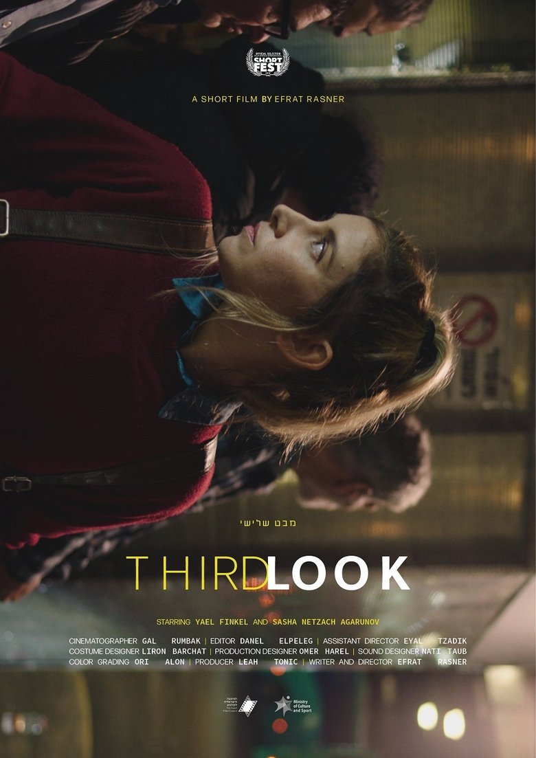 Third Look main poster