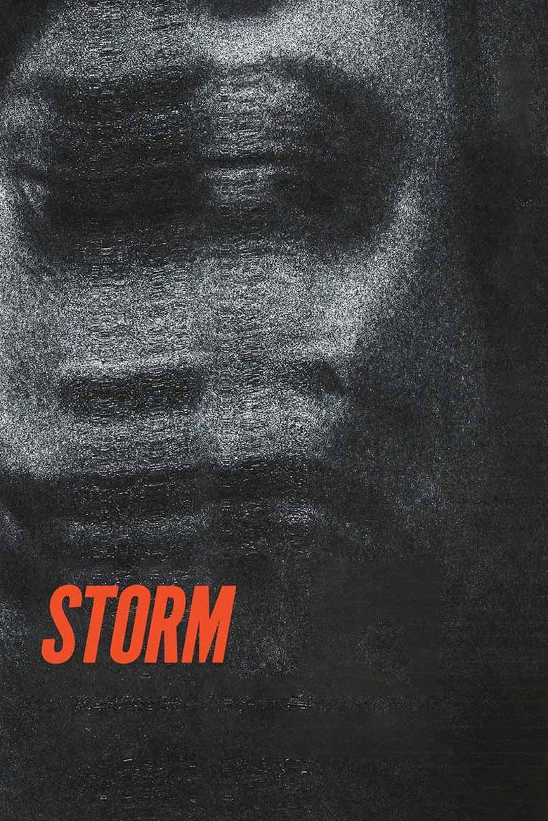 Storm main poster