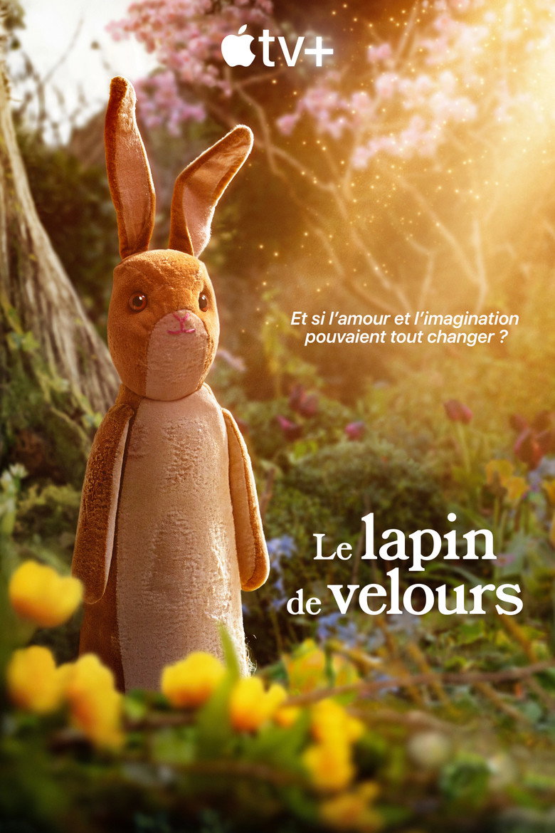 Póster la Película