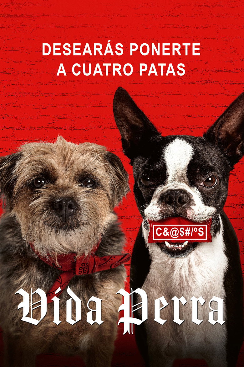 Póster la Película