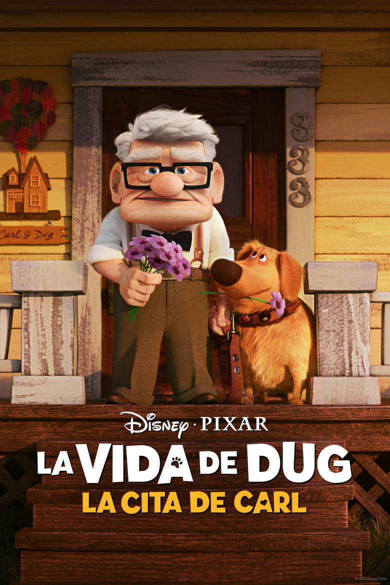 Póster la Película