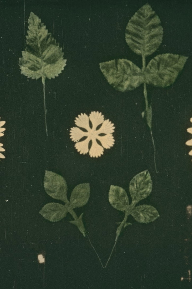 The Manufacture of Artificial Flowers poster