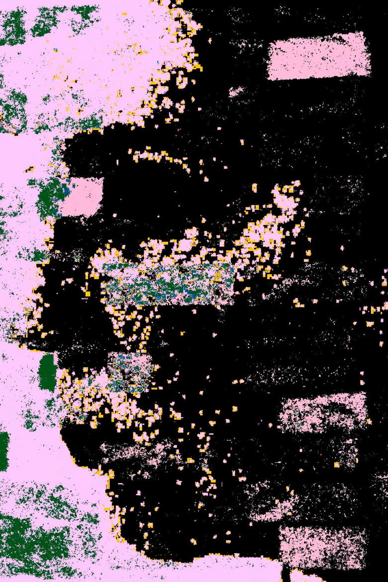 Imatge de Stone Fruit