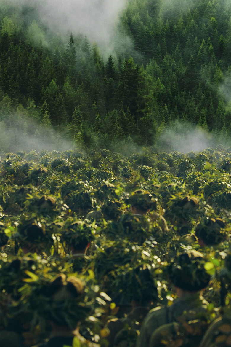 Imatge de 志愿军：雄兵出击