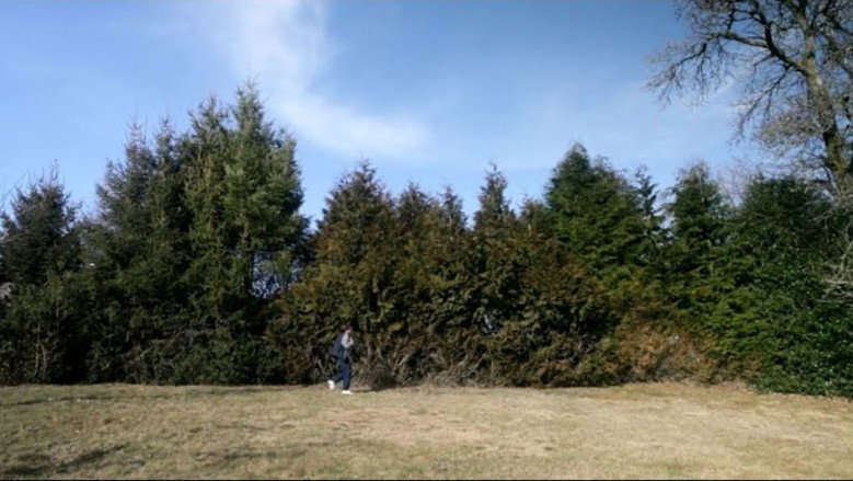 Imatge de De jour comme de nuit