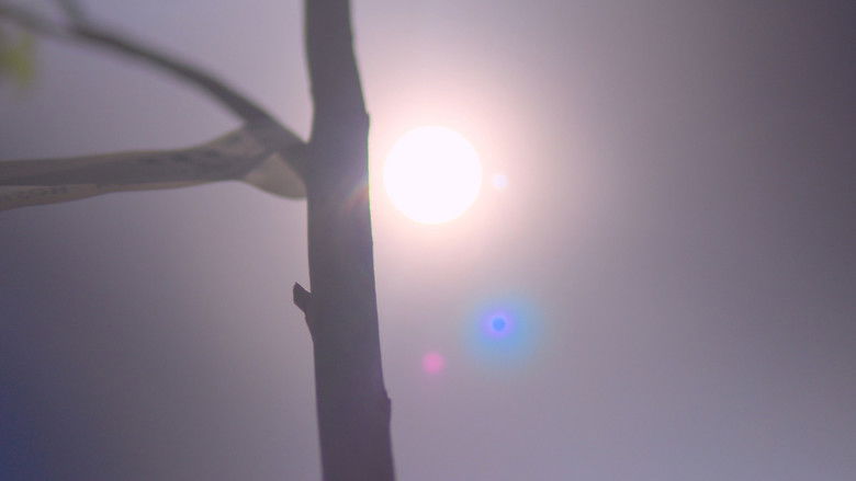 Gallery image from qUsT3vFP6zGDQRQx7xeOXsXcCs1.jpg