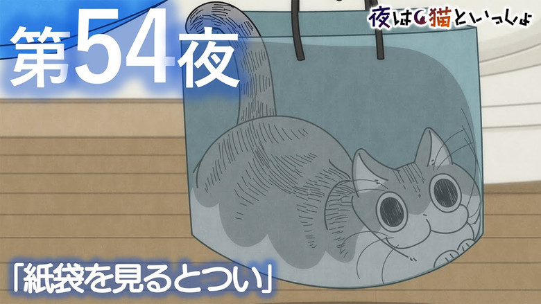 Still image for Nights with a Cat season 1 episode 54: Night 54: Can't Help It When He Sees a Paper Bag