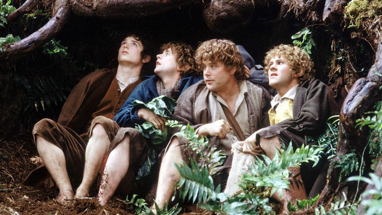 The Lord of the Rings: The Fellowship of the Ring backdrop 130