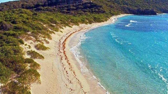 Still image for Verrückt nach Meer - Vom Wasser aus die Welt entdecken season 1 episode 2: Episode 2 Still image for Verrückt nach Meer - Vom Wasser aus die Welt entdecken season 1 episode 2: Episode 2