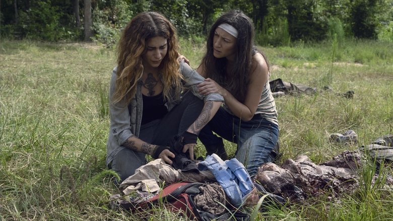 The Walking Dead Subtitrat In Romana The Walking Dead Sezonul 9 Episodul 7 Online Subtitrat in Romana - FSonline