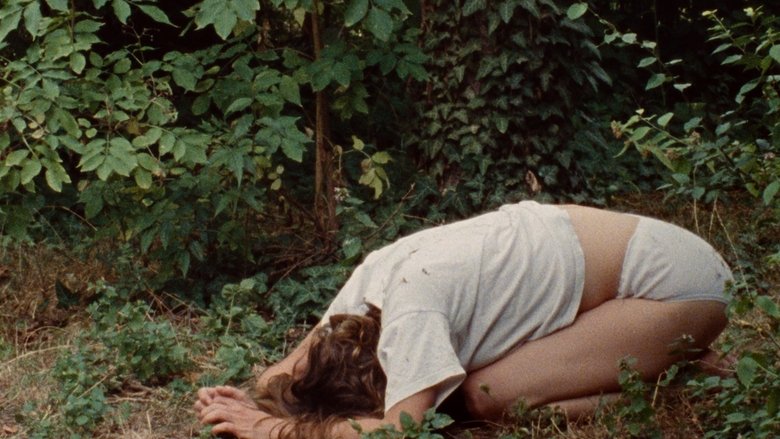 Gallery image from qXVTlmdP6bkgldXU5RjPQ3efWvm.jpg