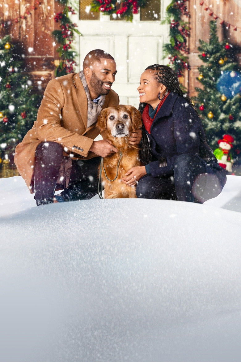 Imatge de A Christmas Stray