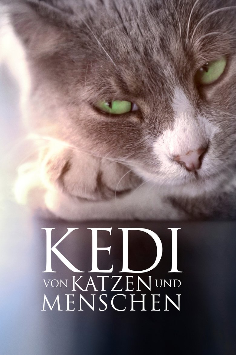 Kedi - Von Katzen und Menschen poster