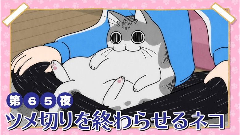 Still image for Nights with a Cat season 1 episode 65: Night 65: A Cat Finishing Up Claw Trimming