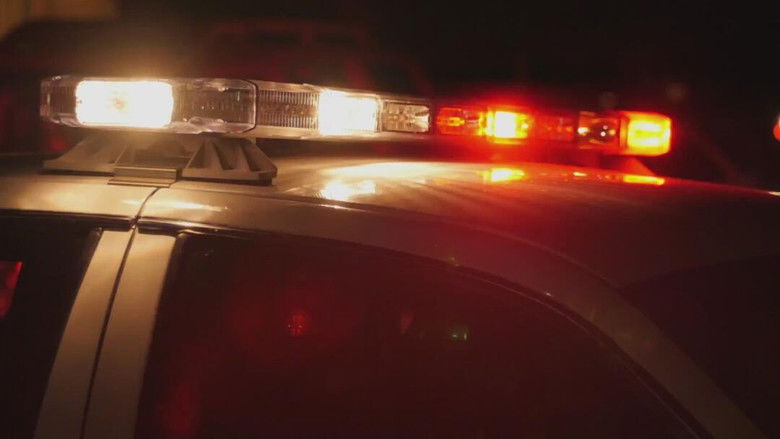 Still image for Interrogation Cam season 1 episode 1: #101 Still image for Interrogation Cam season 1 episode 1: #101