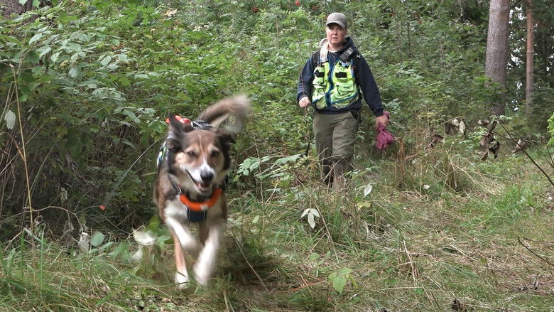 Still image for Redningshundene season 1 episode 7: Episode 7