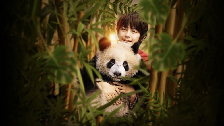 Moon The Panda main backdrop