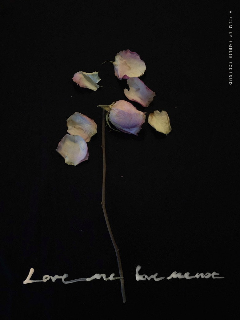 Imatge de Älskar, älskar inte