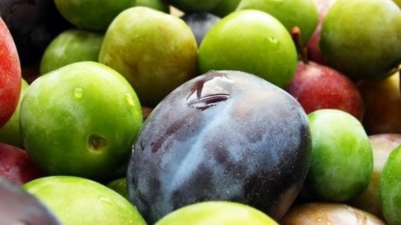 Kluci v akci Sezóna 1 Epizoda 4 bombuj