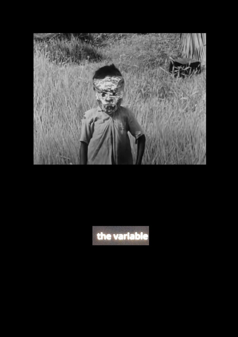 Affiche ou illustration — the variable