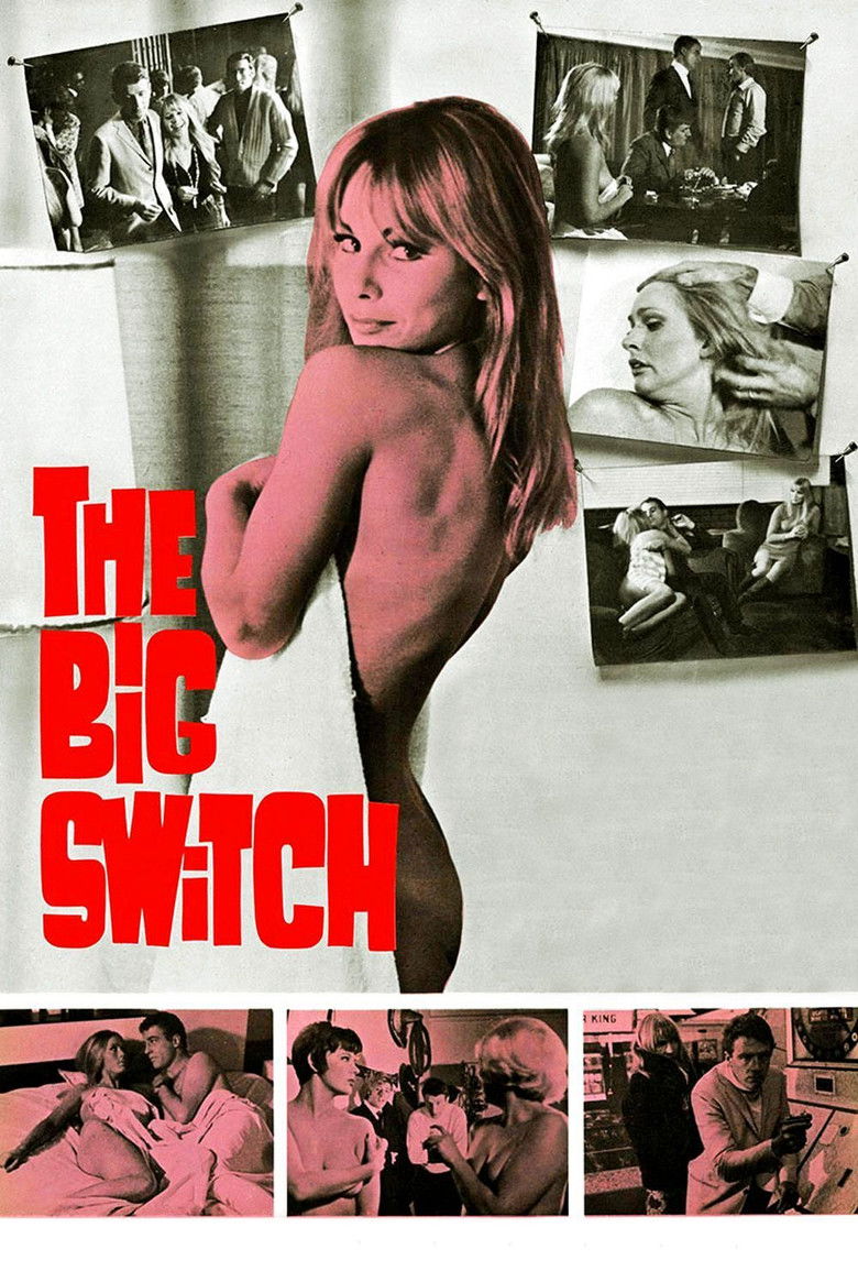 Imatge de The Big Switch