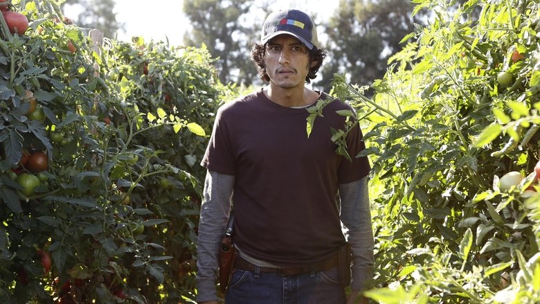 American Crime Sezonul 3 Episodul 4 Online Subtitrat in Romana - FSonline