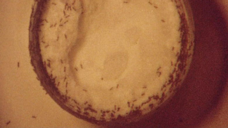 Gallery image from qcvRS4l7NHGphmGCUX5g5E68ilu.jpg