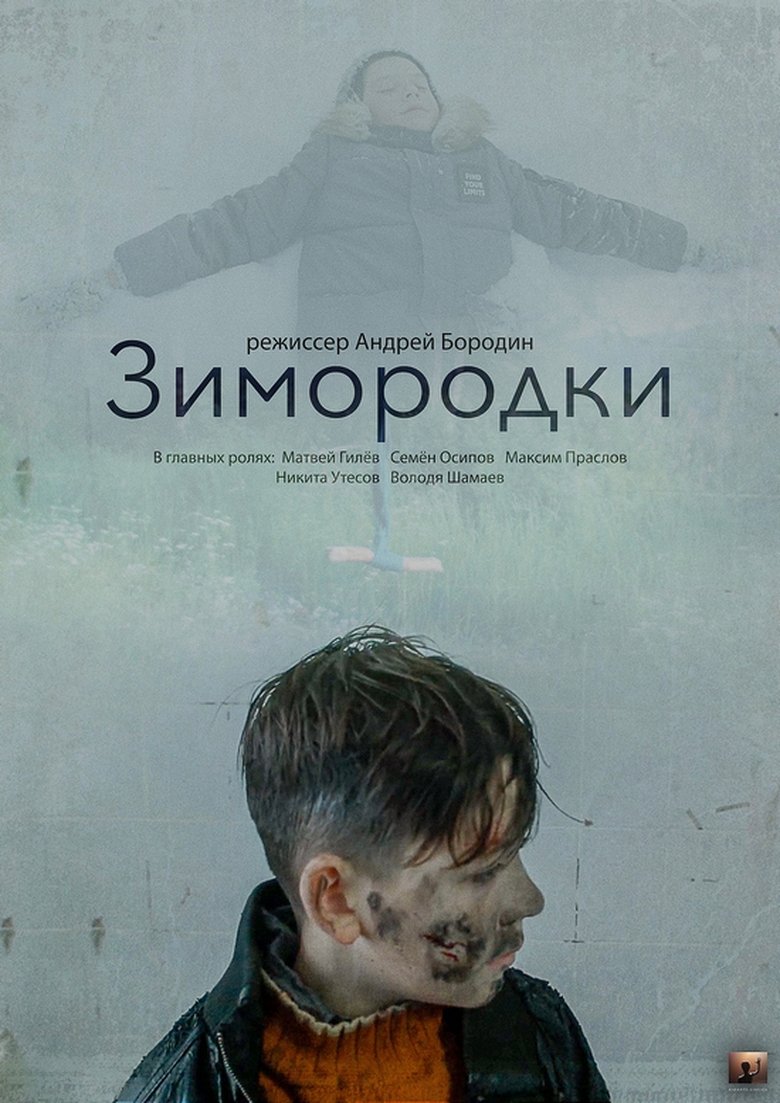 Kingfishers main poster