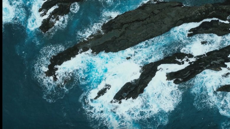 Echoes of the Past (2025)