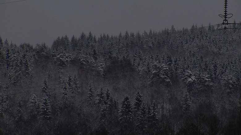 Gallery image from qeZjfmD4LkjY86QSsx5fALL4Gid.jpg