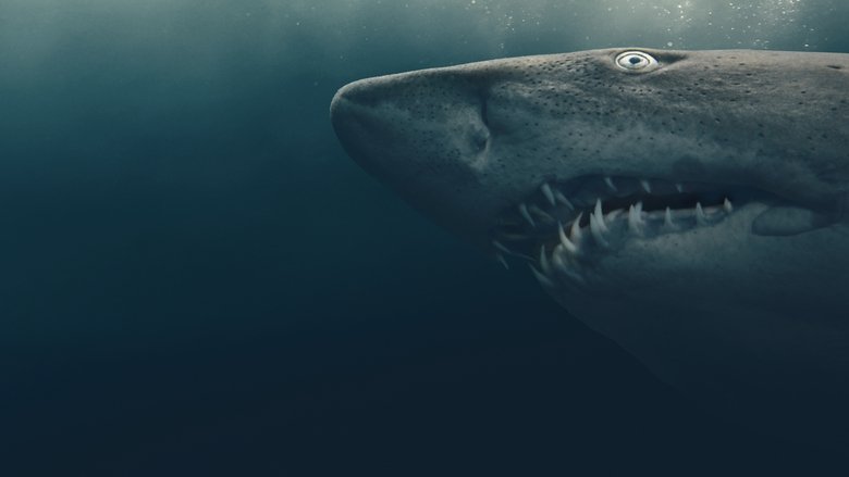 Shark Quest: Hunt For The Apex Predator backdrop