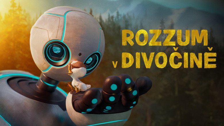 Film backdrop