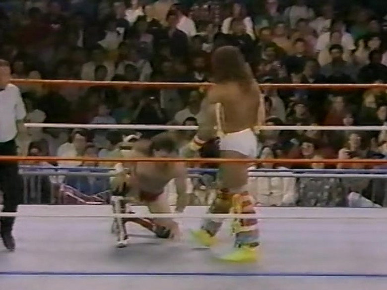 S03E45 – November 5, 1988 - Superstars of Wrestling 114