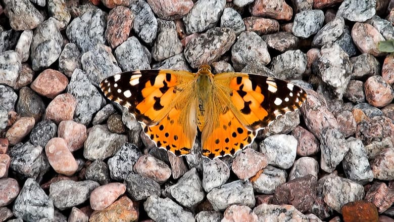 Gallery image from qgXerOmLhzvkzNSR1FjA5Hrw3sQ.jpg