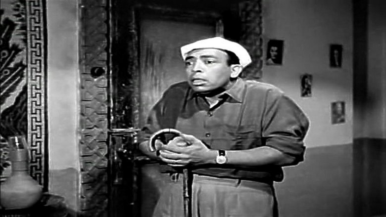 Gallery image from qh0p7FXs2tj4wFluMzVjnKPssL9.jpg