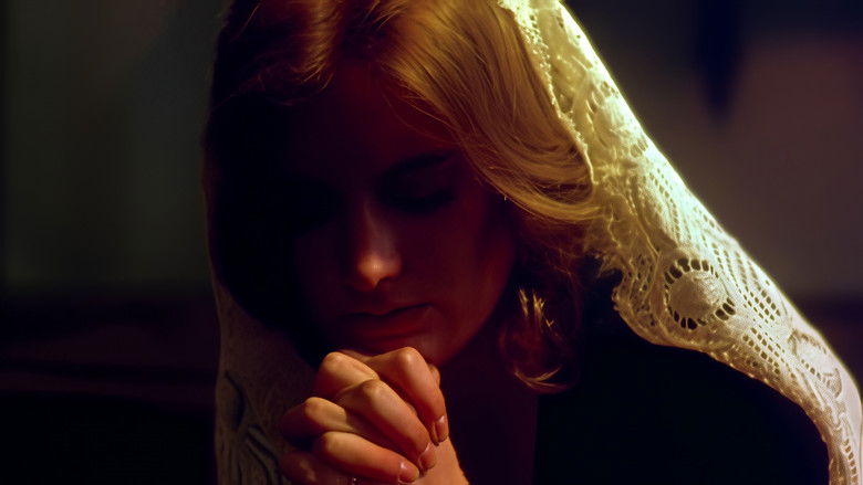 Imatge de The Fireworks Woman