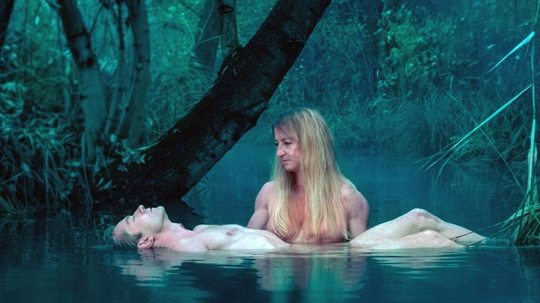 Медиа изображение