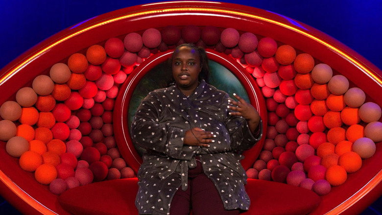 Big Brother S04E28