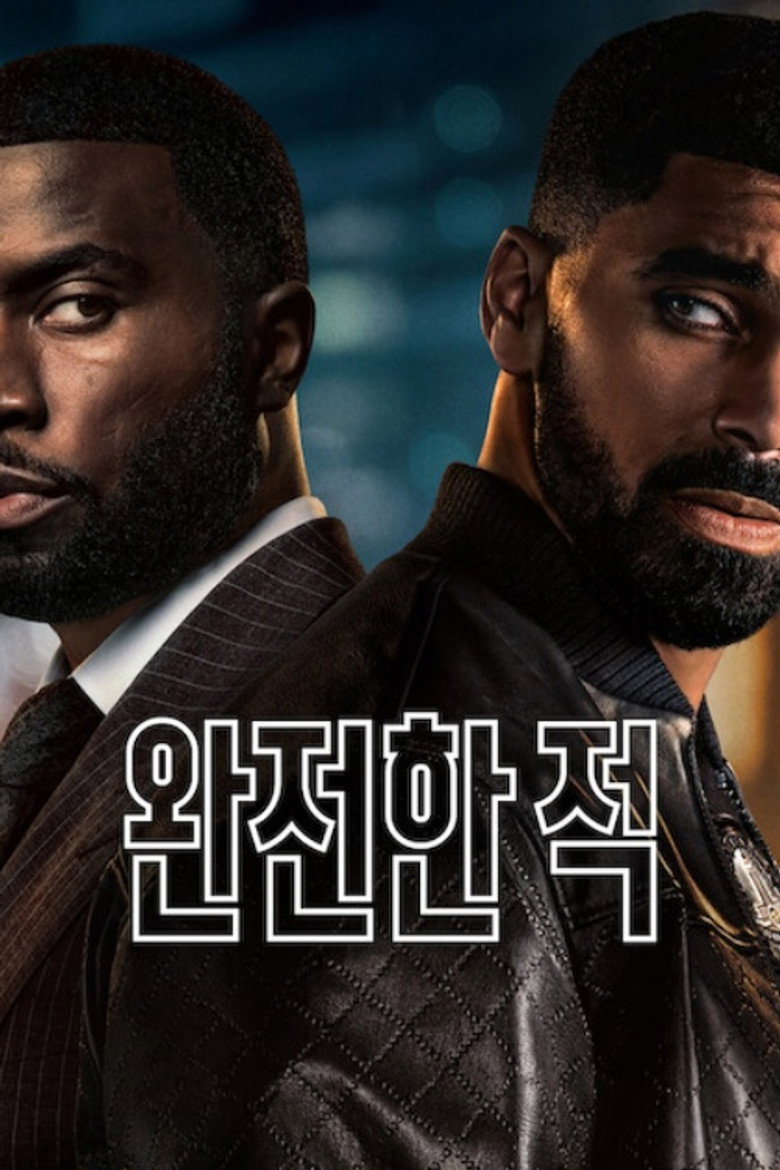 완전한 적