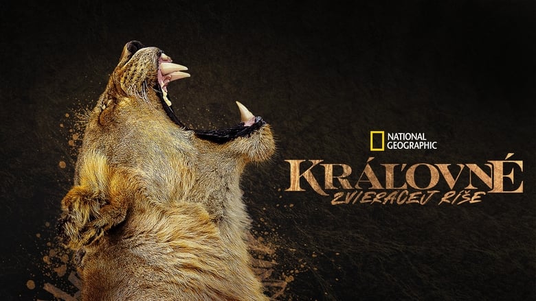 Gallery image from qireQxm9l2krTR2H5ZP9C5SdUbr.jpg