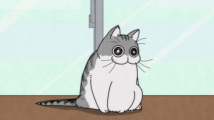 Still image for Nights with a Cat season 1 episode 7: Night 7: Can't Take Good Cat Pics