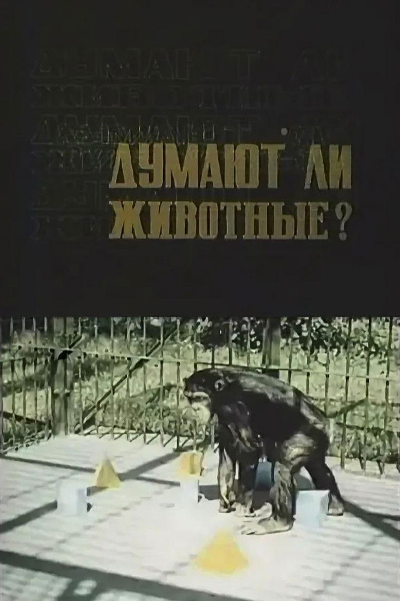 Imatge de Думают ли животные?